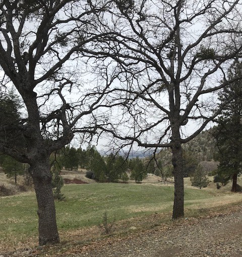 From Brown's driveway